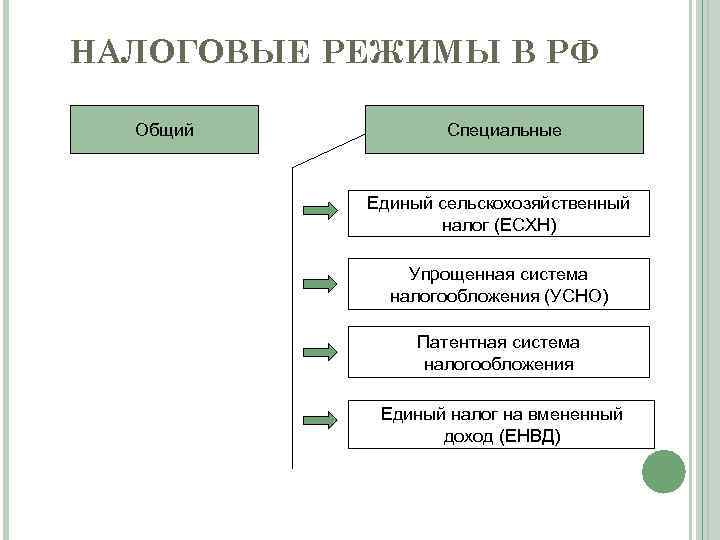 Режим налогообложения единый сельскохозяйственный налог