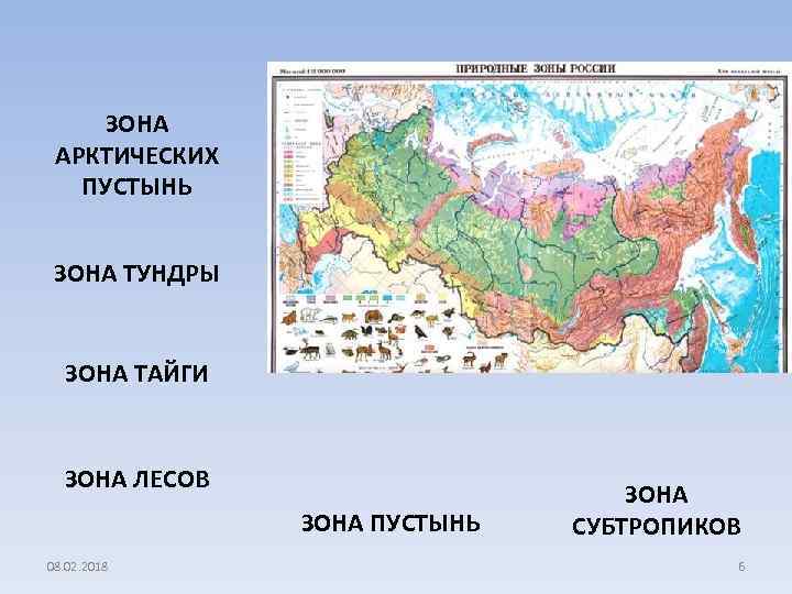 Покажи на карте зону арктических пустынь. Карта природные зоны России 4 класс окружающий мир субтропики. Зона арктических пустынь на карте России 4 класс. Зона арктических пустынь зона тундры. Арктические пустыни на карте природных зон России.