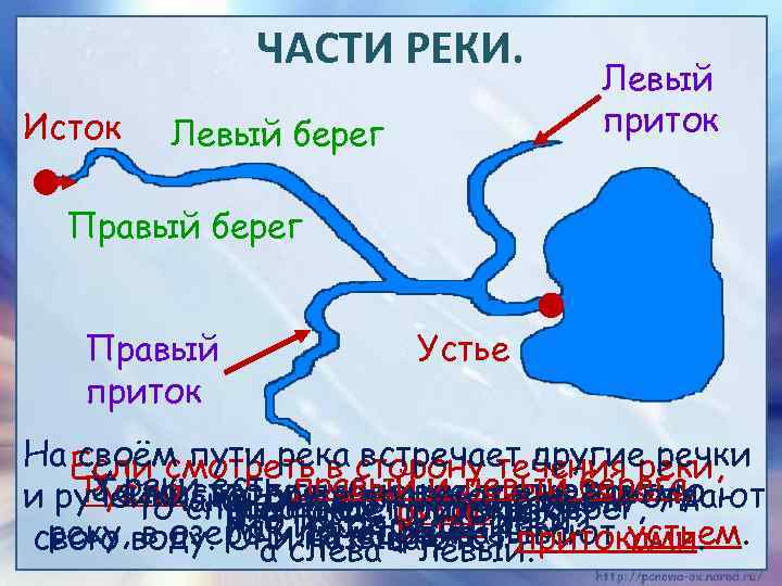 ЧАСТИ РЕКИ. Исток Левый берег Левый приток Правый берег Правый приток Устье На Если