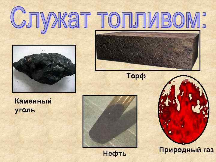Торф Каменный уголь Нефть Природный газ 