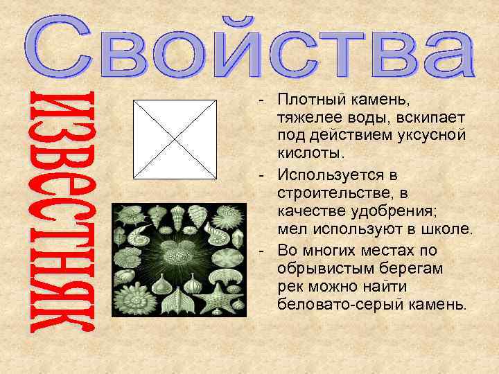 - Плотный камень, тяжелее воды, вскипает под действием уксусной кислоты. - Используется в строительстве,