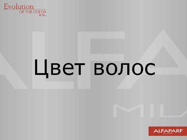 Цвет волос 