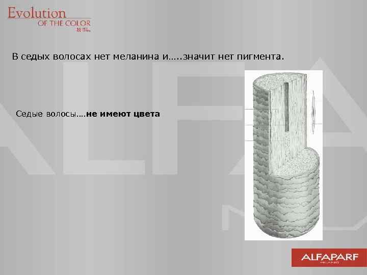 В седых волосах нет меланина и…. . значит нет пигмента. Седые волосы…. не имеют