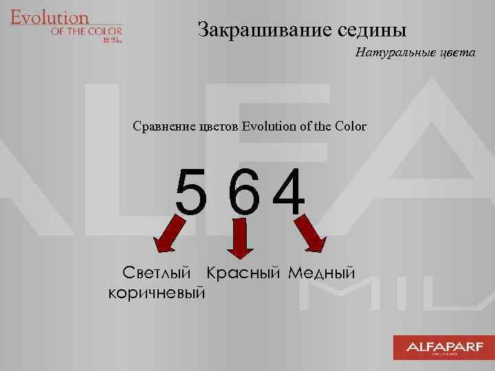 Закрашивание седины Натуральные цвета Сравнение цветов Evolution of the Color 5 64 Светлый Красный