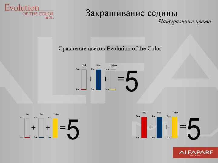 Закрашивание седины Натуральные цвета Сравнение цветов Evolution of the Color 