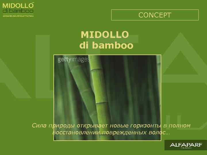 CONCEPT MIDOLLO di bamboo Сила природы открывает новые горизонты в полном восстановлении поврежденных волос…