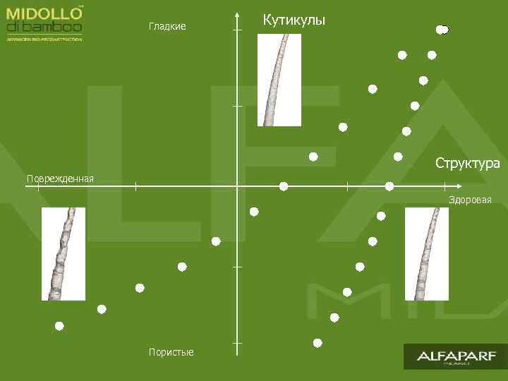 Гладкие Кутикулы Структура Поврежденная Здоровая Пористые 