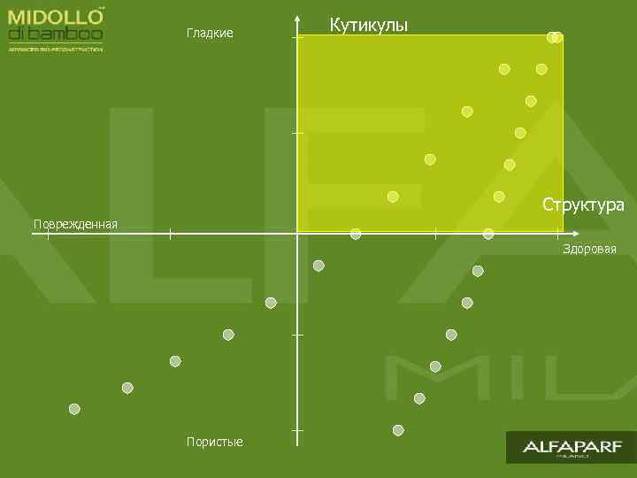 Гладкие Кутикулы Структура Поврежденная Здоровая Пористые 