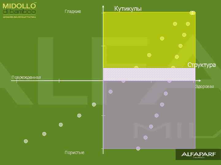 Гладкие Кутикулы Структура Поврежденная Здоровая Пористые 