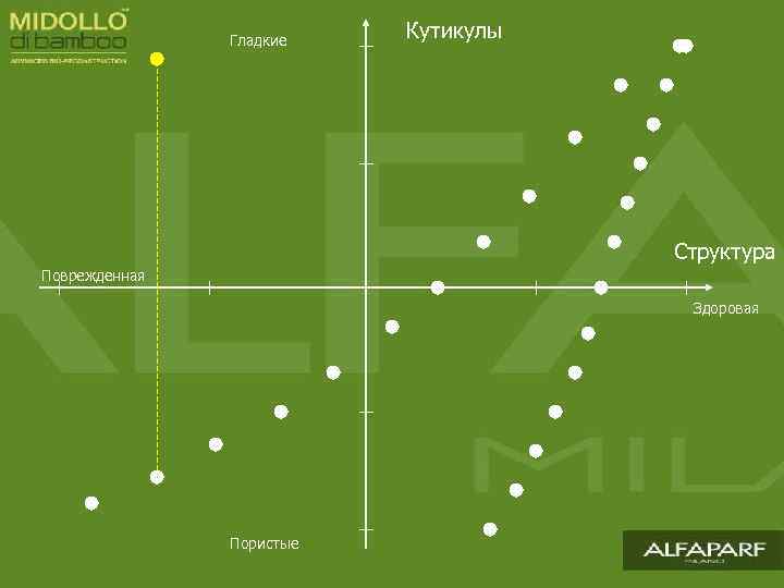 Гладкие Кутикулы Структура Поврежденная Здоровая Пористые 