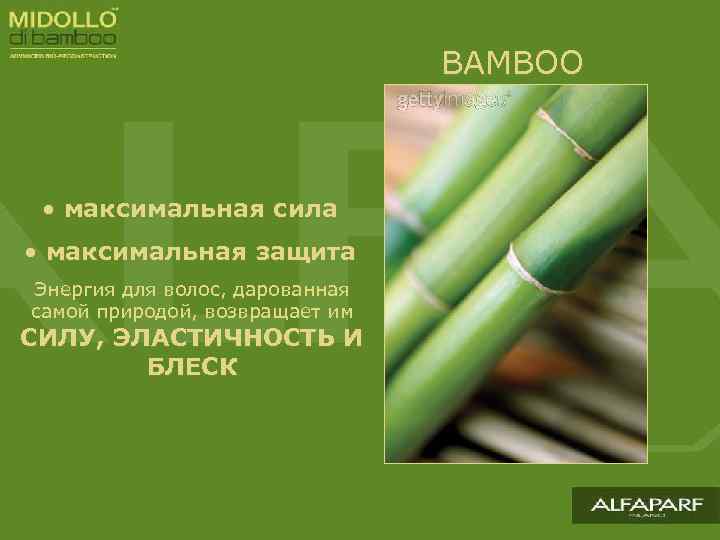 BAMBOO • максимальная сила • максимальная защита Энергия для волос, дарованная самой природой, возвращает