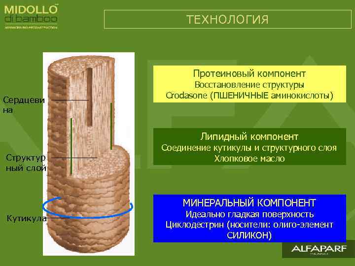 ТЕХНОЛОГИЯ Протеиновый компонент Сердцеви на Восстановление структуры Crodasone (ПШЕНИЧНЫЕ аминокислоты) Липидный компонент Структур ный