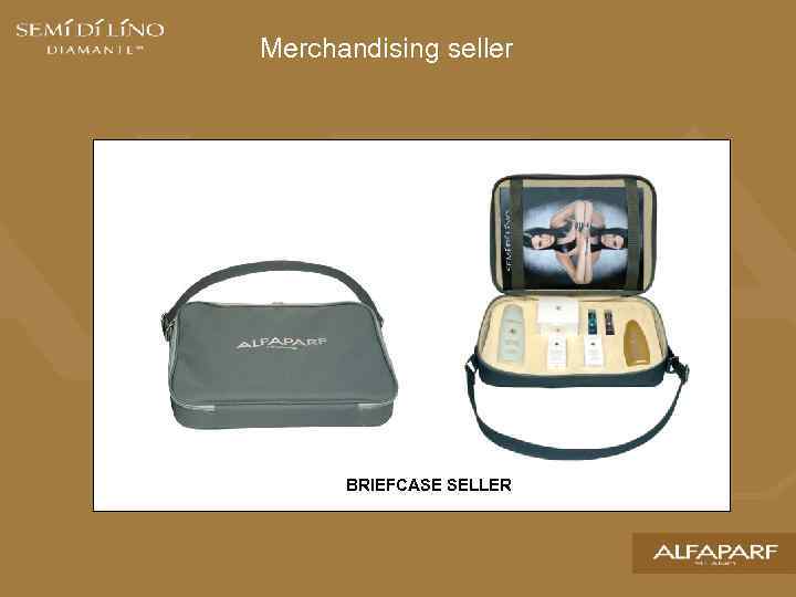 Merchandising seller BRIEFCASE SELLER 