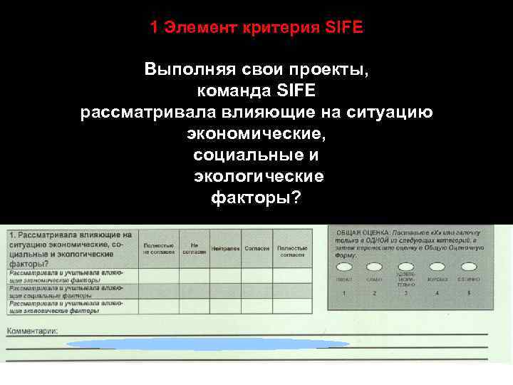 1 Элемент критерия SIFE Выполняя свои проекты, команда SIFE рассматривала влияющие на ситуацию экономические,