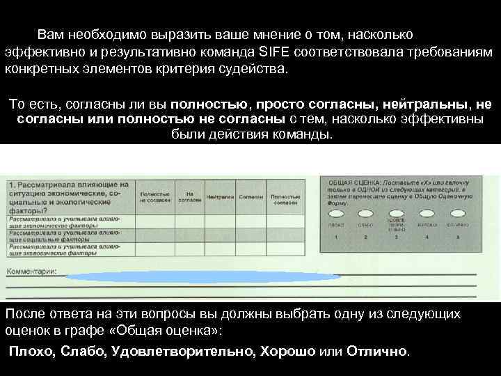 Вам необходимо выразить ваше мнение о том, насколько эффективно и результативно команда SIFE соответствовала