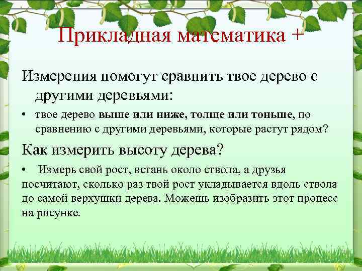 Прикладная математика + Измерения помогут сравнить твое дерево с другими деревьями: • твое дерево