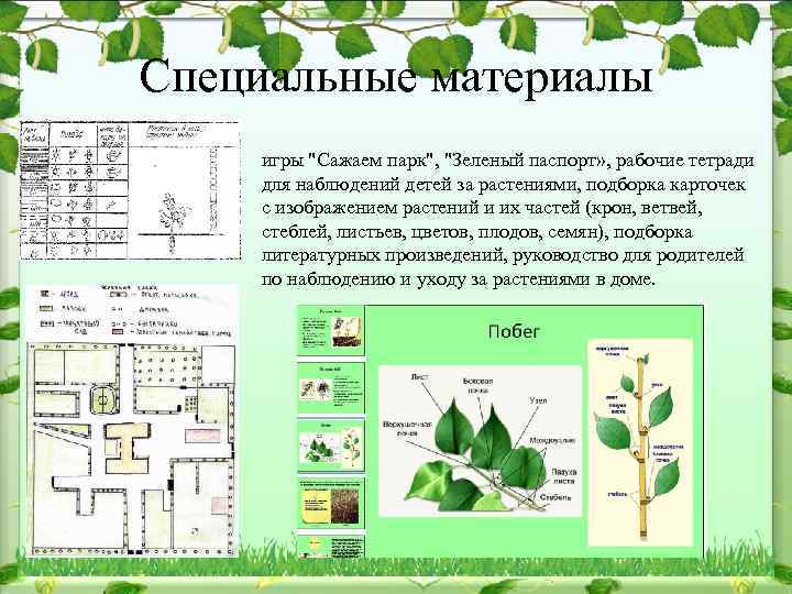 Специальные материалы игры "Сажаем парк", "Зеленый паспорт» , рабочие тетради для наблюдений детей за
