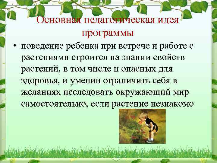Основная педагогическая идея программы • поведение ребенка при встрече и работе с растениями строится