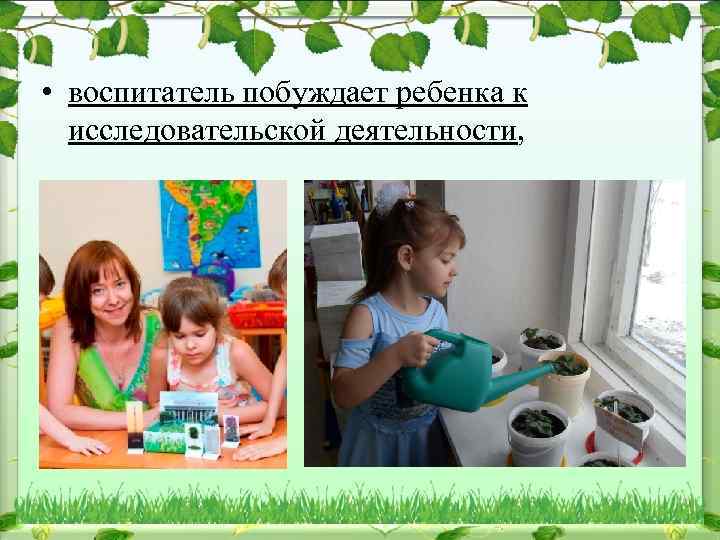  • воспитатель побуждает ребенка к исследовательской деятельности, 