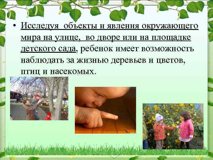  • Исследуя объекты и явления окружающего мира на улице, во дворе или на