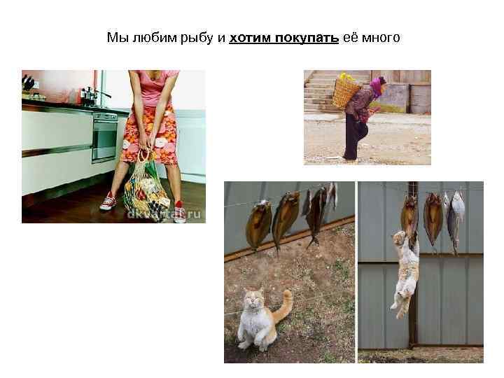 Мы любим рыбу и хотим покупать её много 