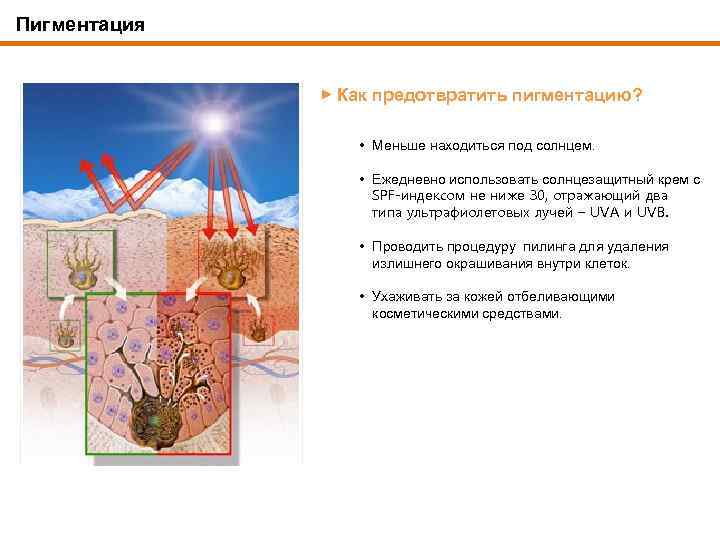 Пигментация ▶ Как предотвратить пигментацию? • Меньше находиться под солнцем. • Ежедневно использовать солнцезащитный