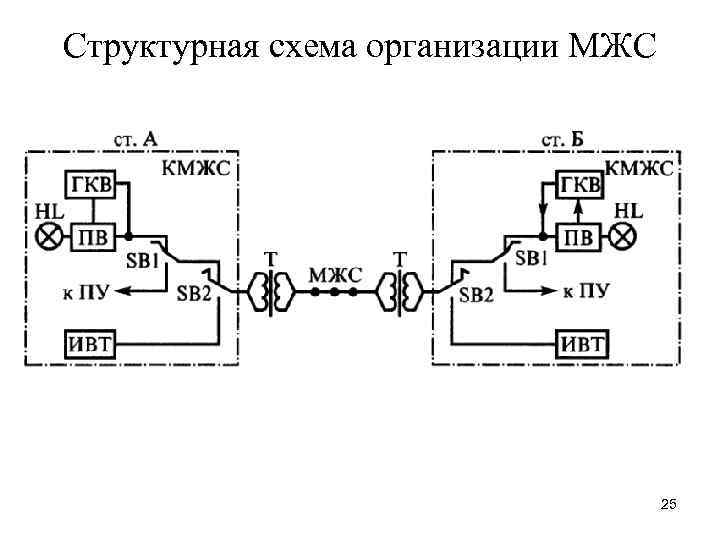 Структурная схема организации МЖС 25 