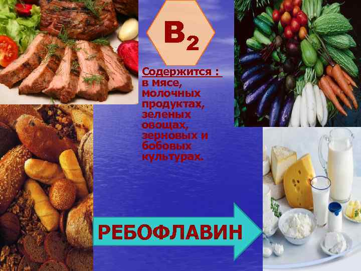 B 2 Содержится : в мясе, молочных продуктах, зеленых овощах, зерновых и бобовых культурах.