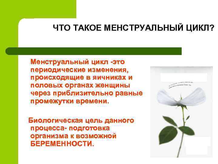 ЧТО ТАКОЕ МЕНСТРУАЛЬНЫЙ ЦИКЛ? Менструальный цикл -это периодические изменения, происходящие в яичниках и половых