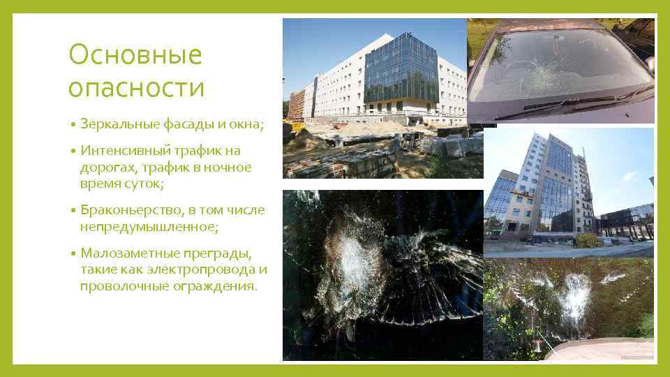 Основные опасности • Зеркальные фасады и окна; • Интенсивный трафик на дорогах, трафик в