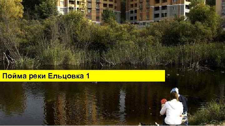 Пойма реки Ельцовка 1 