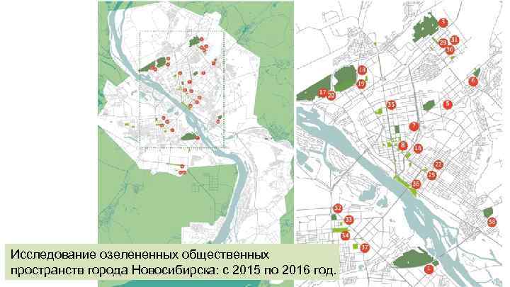 Исследование озелененных общественных пространств города Новосибирска: с 2015 по 2016 год. 