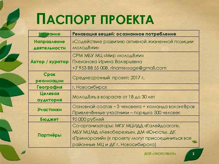 Паспорт проекта дизайн