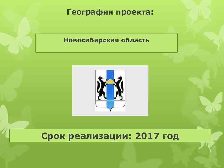 География проекта: Новосибирская область Срок реализации: 2017 год 