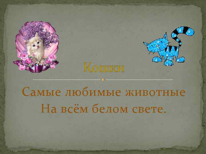 Кошки Самые любимые животные На всём белом свете. 