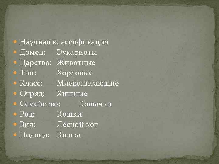  Научная классификация Домен: Эукариоты Царство: Животные Тип: Хордовые Класс: Млекопитающие Отряд: Хищные Семейство: