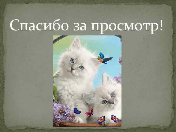 Спасибо за просмотр! 