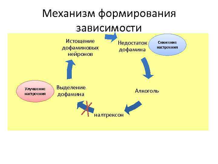 Механизм формирования зависимости Истощение дофаминовых нейронов Улучшение настроения Недостаток дофамина Выделение дофамина Снижение настроения