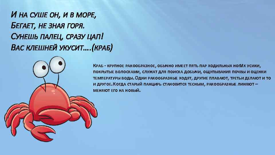 И НА СУШЕ ОН, И В МОРЕ, БЕГАЕТ, НЕ ЗНАЯ ГОРЯ. СУНЕШЬ ПАЛЕЦ, СРАЗУ
