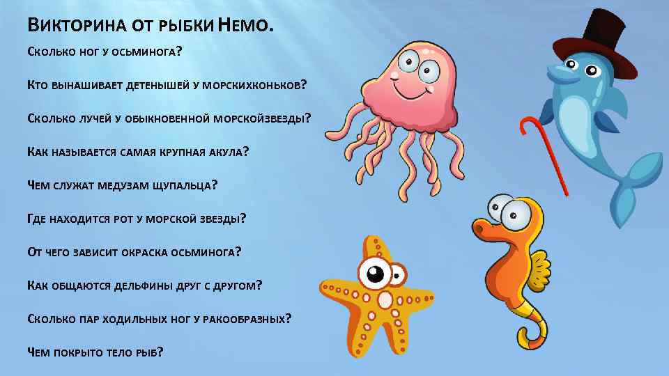 ВИКТОРИНА ОТ РЫБКИ НЕМО. СКОЛЬКО НОГ У ОСЬМИНОГА? КТО ВЫНАШИВАЕТ ДЕТЕНЫШЕЙ У МОРСКИХКОНЬКОВ? СКОЛЬКО