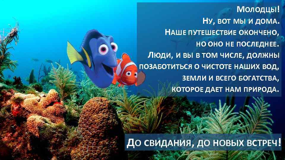 МОЛОДЦЫ! НУ, ВОТ МЫ И ДОМА. НАШЕ ПУТЕШЕСТВИЕ ОКОНЧЕНО, НО ОНО НЕ ПОСЛЕДНЕЕ. ЛЮДИ,