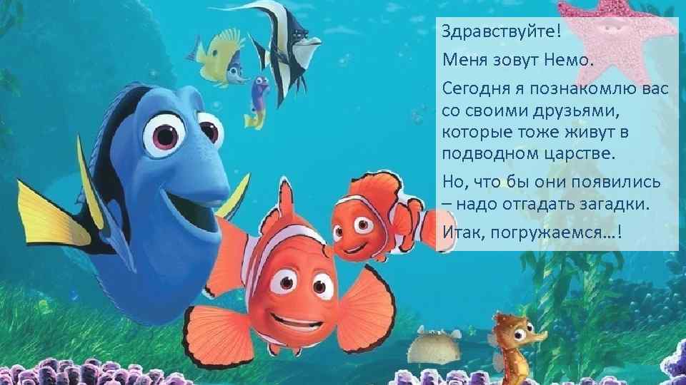 Здравствуйте! Меня зовут Немо. Сегодня я познакомлю вас со своими друзьями, которые тоже живут