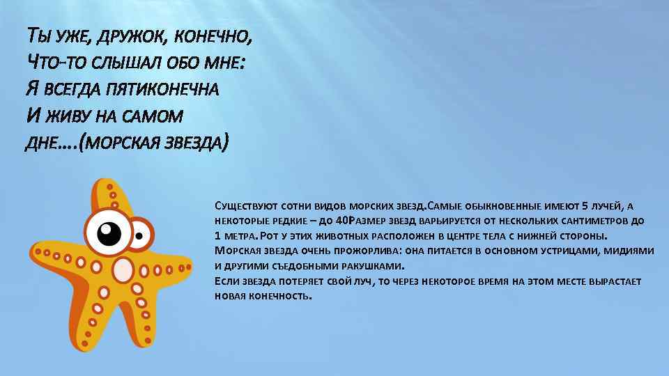 ТЫ УЖЕ, ДРУЖОК, КОНЕЧНО, ЧТО-ТО СЛЫШАЛ ОБО МНЕ: Я ВСЕГДА ПЯТИКОНЕЧНА И ЖИВУ НА