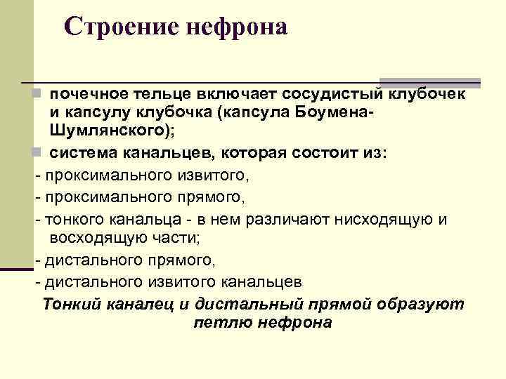 Строение нефрона n почечное тельце включает сосудистый клубочек и капсулу клубочка (капсула Боумена. Шумлянского);