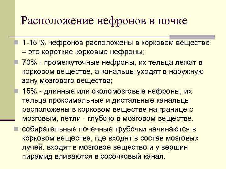 Расположение нефронов в почке n 1 -15 % нефронов расположены в корковом веществе –