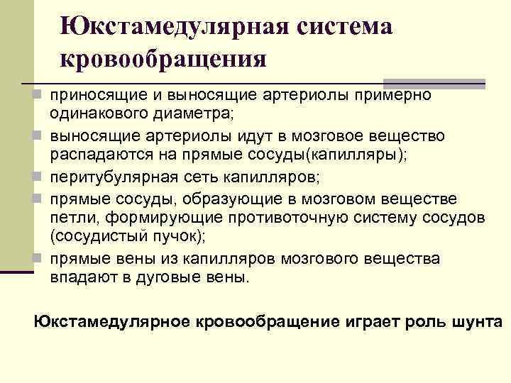 Юкстамедулярная система кровообращения n приносящие и выносящие артериолы примерно n n одинакового диаметра; выносящие