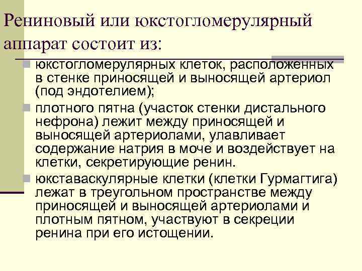 Рениновый или юкстогломерулярный аппарат состоит из: n юкстогломерулярных клеток, расположенных в стенке приносящей и