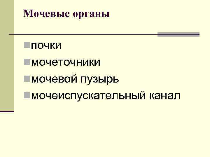 Мочевые органы nпочки nмочеточники nмочевой пузырь nмочеиспускательный канал 