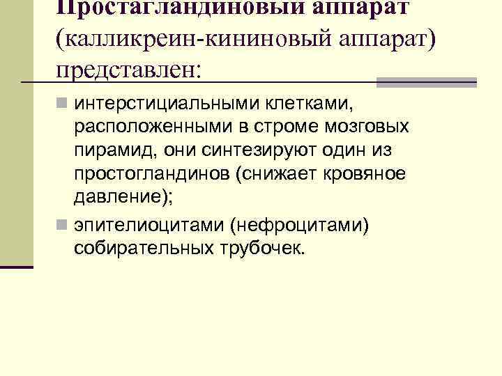 Простагландиновый аппарат (калликреин-кининовый аппарат) представлен: n интерстициальными клетками, расположенными в строме мозговых пирамид, они