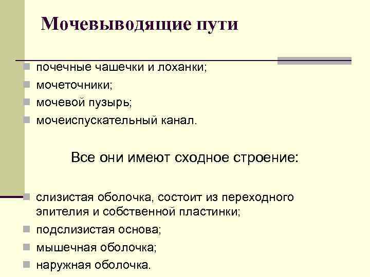 Мочевыводящие пути n почечные чашечки и лоханки; n мочеточники; n мочевой пузырь; n мочеиспускательный